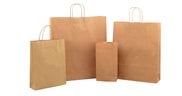 Brown Paper Twist Handle Bags
