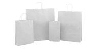 White Paper Twist Handle Bags