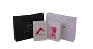 Printed Gloss Laminated Paper Bags