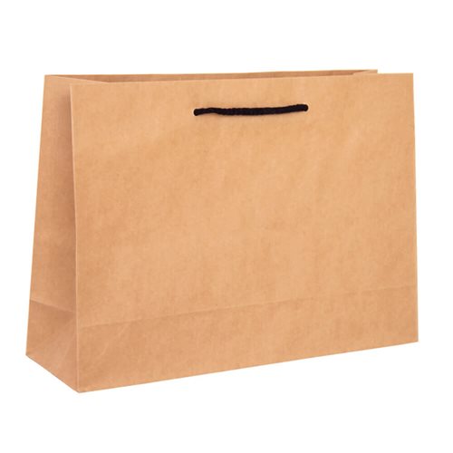 Brown Deluxe Paper Bags 50 pack 250mm x 350mm