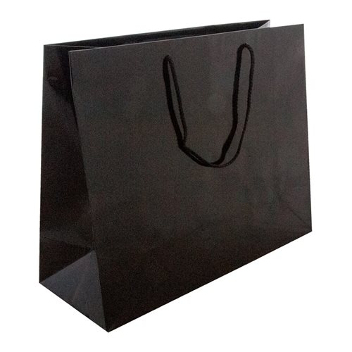 Black Boutique Medium Gloss Bag  330 x 405