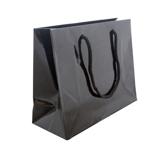 Black Small Gloss Bag 200 x 250. Pack of 50