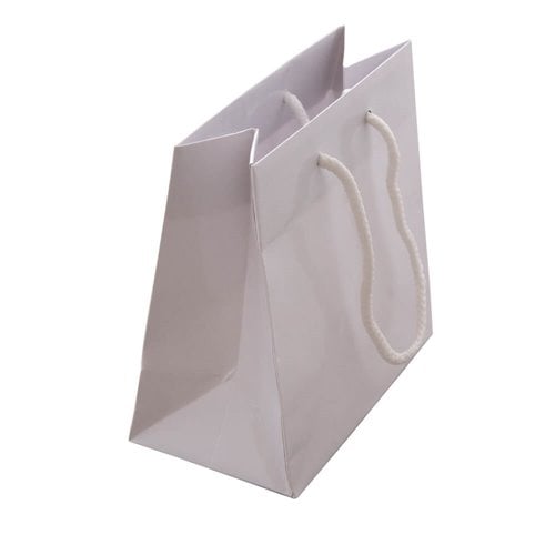 White Rope Handle Gloss Bags 165x165mm (Qty:50)
