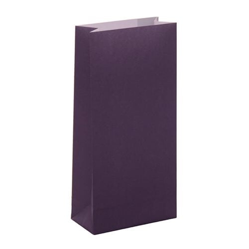 Paper Gift Bags Purple 100x210+50 - no handles