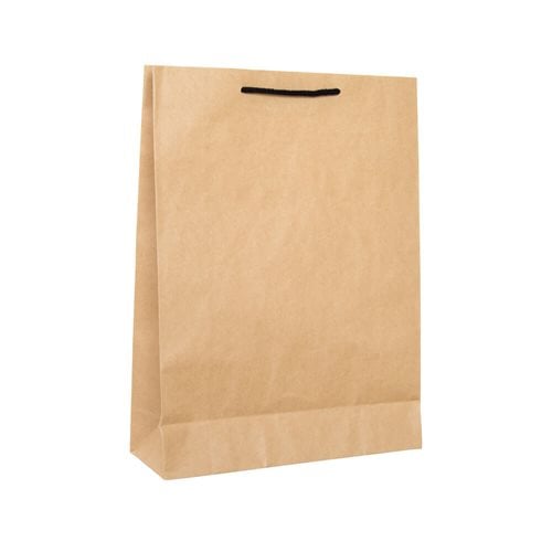 Deluxe Brown Paper Bags 310x420mm (Qty:250)