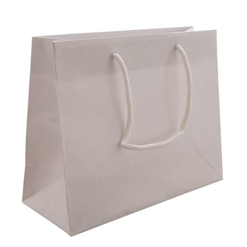 White Rope Handle Gloss Bags 250x200mm (Qty:50)