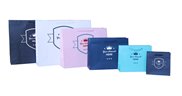 Printed Matte Laminated Paper Bags
