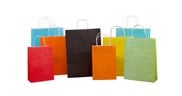 Paper Twist Handle Bags - Coloured