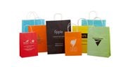Coloured Paper Bags - Printed