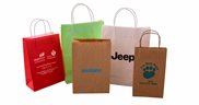 Printed Paper Carry Bags