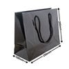 Black Small Gloss Bag 200 x 250. Pack of 50