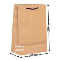 Brown Deluxe Paper Bags 200mm x 290mm