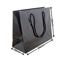 Black Small Gloss Bag 200 x 250