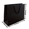 Black Boutique Rope Handle Gloss Bags 510x400mm (Qty:50)