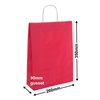 Paper Carry Bag Red 260x350 + 90