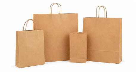 Brown Paper Bags with Twist Handles – Kraft Carry Bags