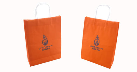 1 Colour 2 Sides Coloured Paper Bags