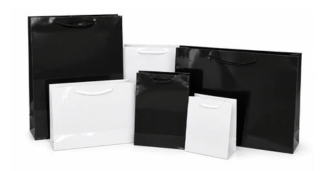 Rope and Ribbon Handle Gloss Bags