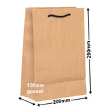 Deluxe Brown Paper Bags 200x290mm (Qty:50)