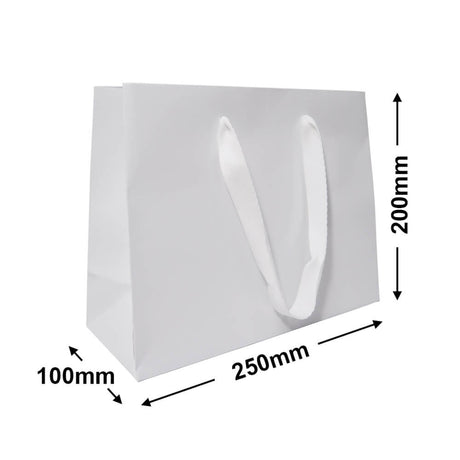 White Rope Handle Gloss Bags 250x200mm (Qty:200)