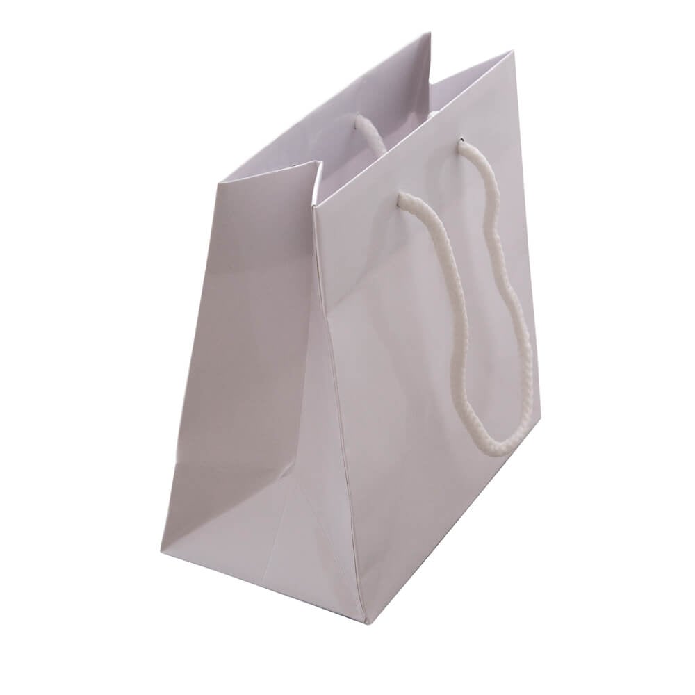 White Rope Handle Gloss Bags 165x165mm (Qty:50)
