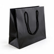 black rope handle gloss bags 250x200mm, front view