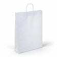 white paper carry bags 340x480mm, front view