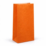paper gift bags orange 130x260+80 no handles, front view
