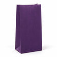 paper gift bags purple 130x260+80 no handles, front view